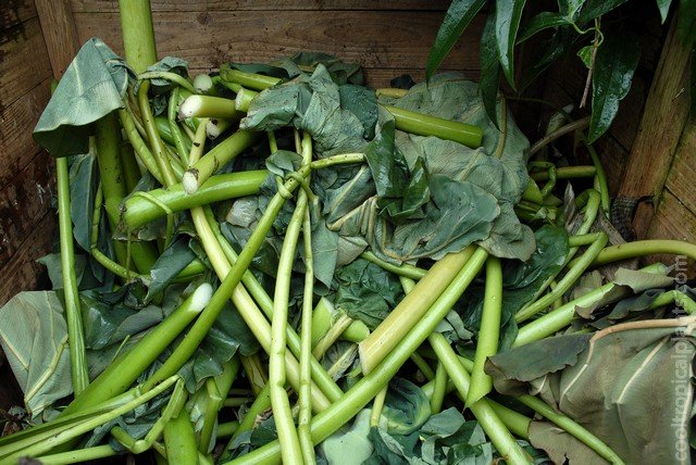 Tubers are now covered in chopped foliage